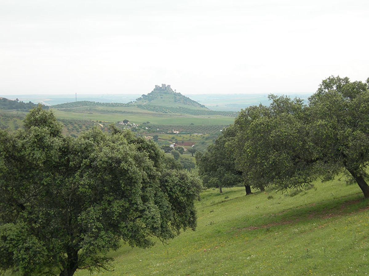 Imagen del Castillo de Almodóvar desde la sierra.