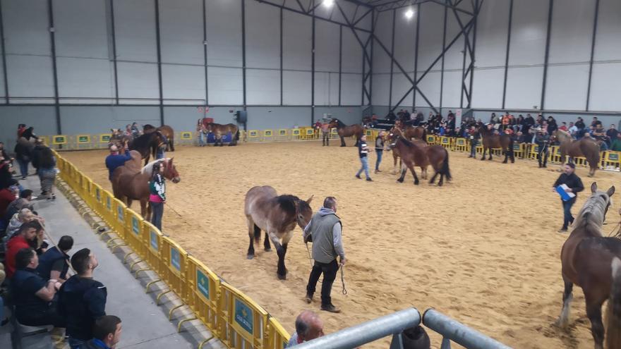 &quot;Laviana ecuestre&quot;, al galope en la Pola: el evento equino reúne a numeroso público