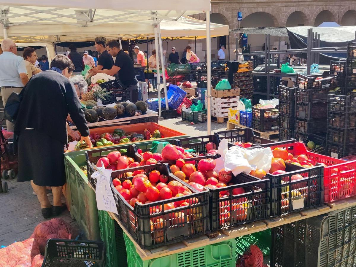 GALERÍA | El mercado de frutas y verduras de Benavente, en imágenes