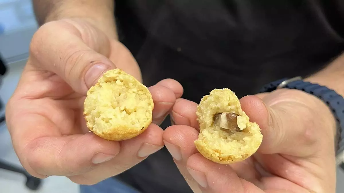 Poseidona lanza una alternativa a la carne y el pescado a base de algas