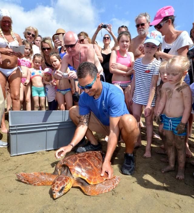 GARZA ÁNADE TORTUGA SUELTA CHARCA MASPALOMAS