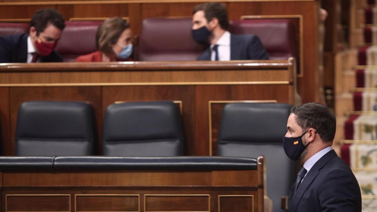 Abascal con la bancada del PP al fondo.