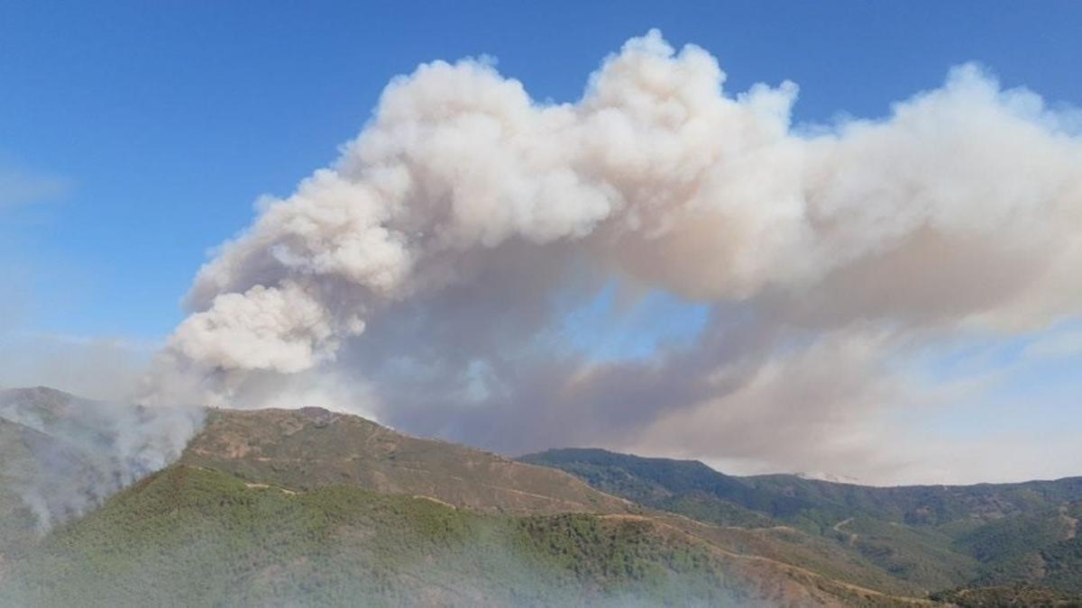 ¿Qué son los incendios de sexta generación, como el que ha arrasado Málaga?