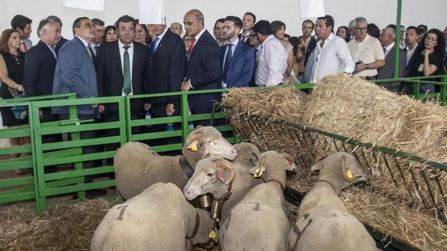 Zafra pide apoyos para garantizar la financiación de su Feria Ganadera