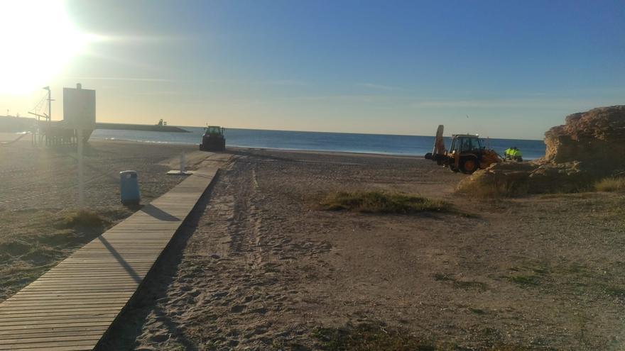 El elemento que vuelve después de varios meses de ausencia a las playas de El Campello