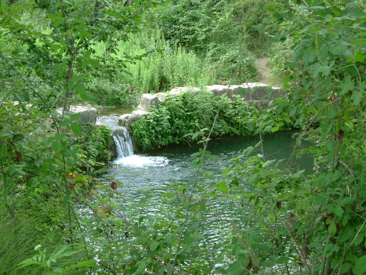 Molí de l&#039;Ombria en el Río Vinalopó