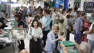 El PP revalidaría la mayoría absoluta en Andalucía y el PSOE se hundiría a su peor resultado, según los sondeos