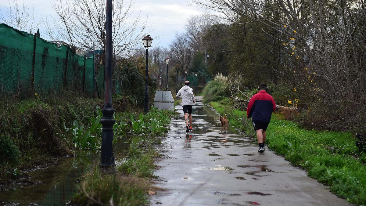 FOTOGALERÍA | Aguas fecales en uno de los paseos del río de Plasencia