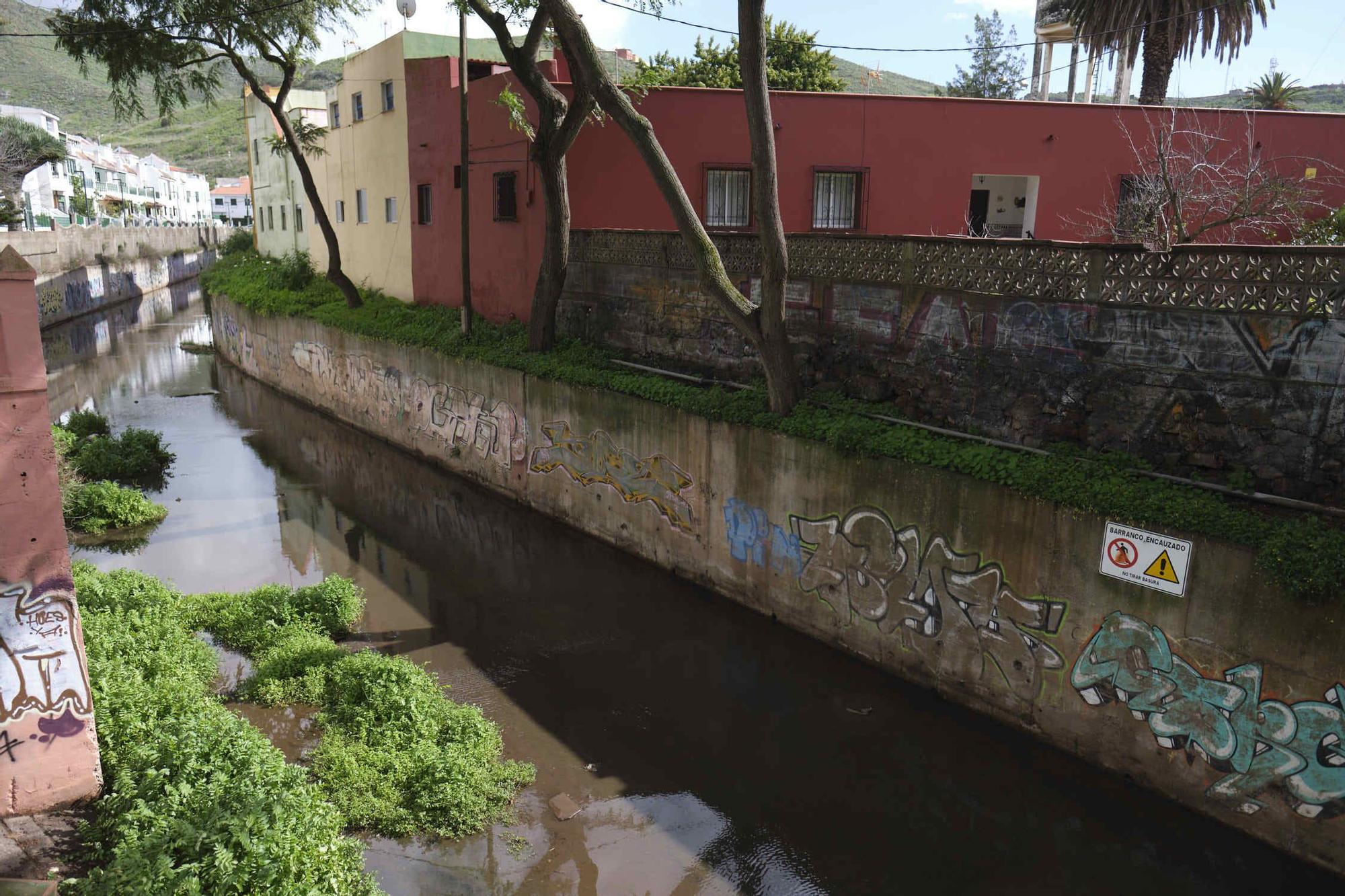 Calle Cañaveral, en La Laguna