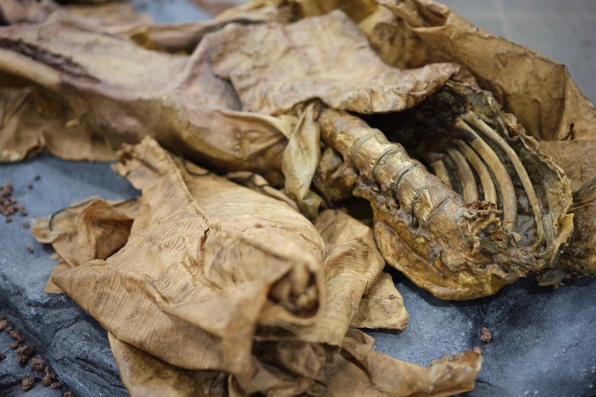 Exposición 'Memento Mori. El sentido de la muerte en Canarias'