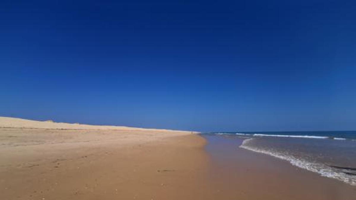 Illa de Faro