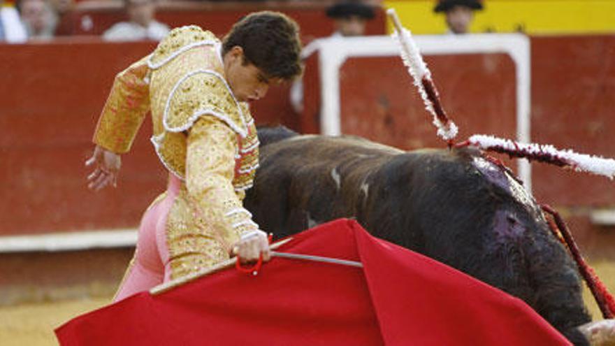 Corrida de Toros