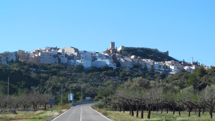 Cervera del Maestrat: Sierra, Rambla y Olivar