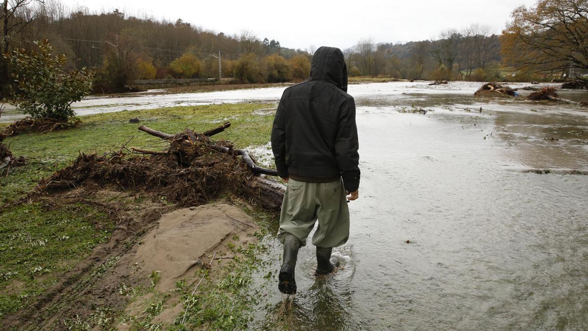 Inundaciones en Asturias: Todas las imágenes de una complicada jornada de lluvias