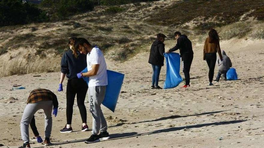 Un grupo de voluntarios limpia de residuos el arenal de Montalvo. // Fdv