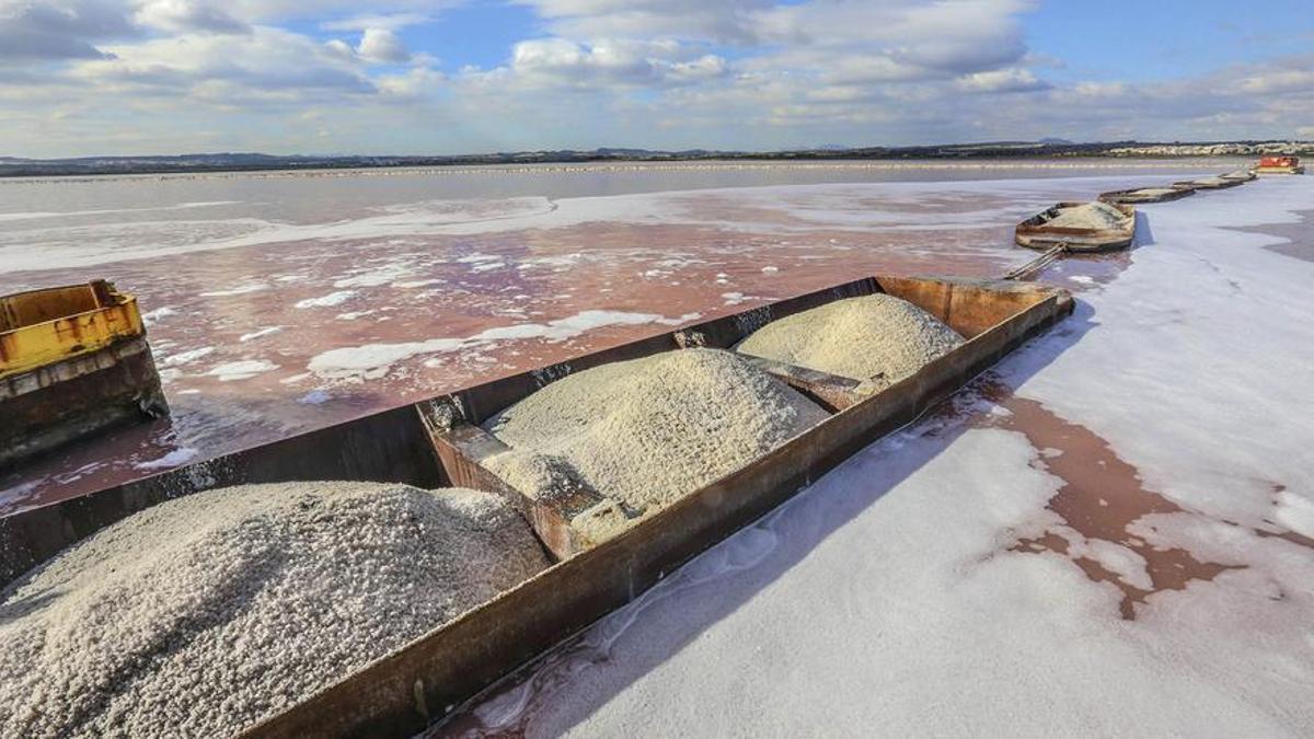 Laguna salinera de Torrevieja, también llamada laguna rosa. En la imagen las barcaza arrastran los &quot;raches&quot; cargados de sal.