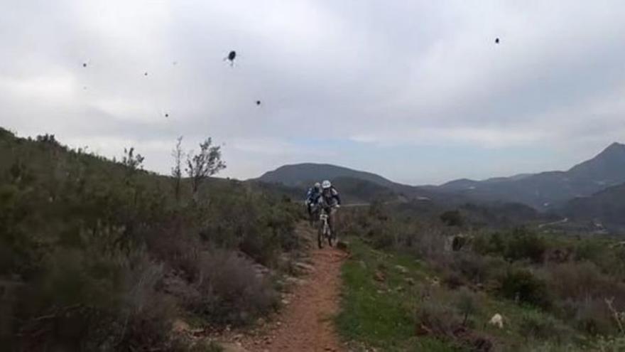 Dramático ataque de abejas a un grupo de ciclistas. &quot;Me vi la muerte a la espalda&quot;, dice uno de ellos