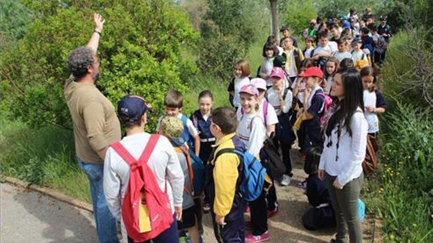 USO denuncia la precariedad laboral de los monitores contratados por la Junta