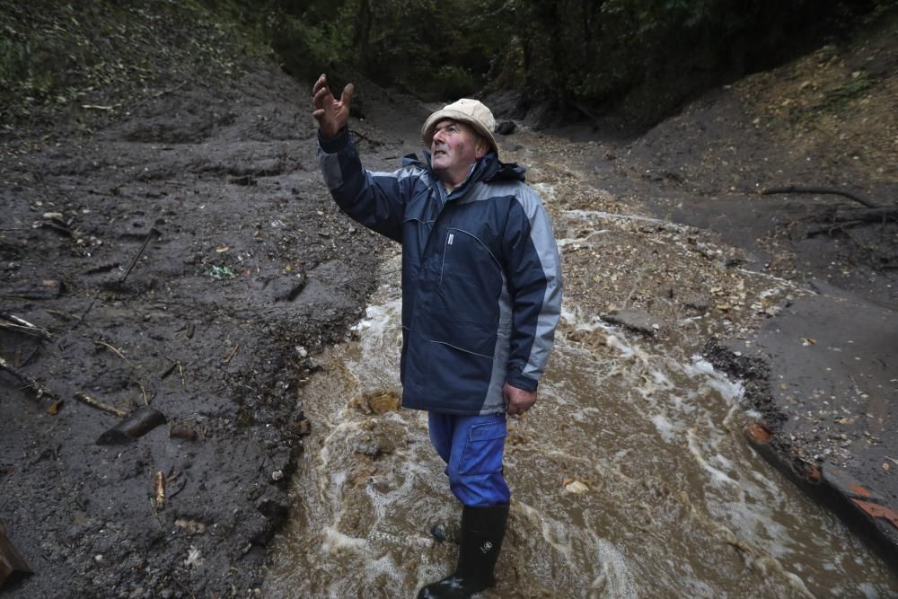 Temporal en Asturias: Un argayo sepulta una ganadería en Salas