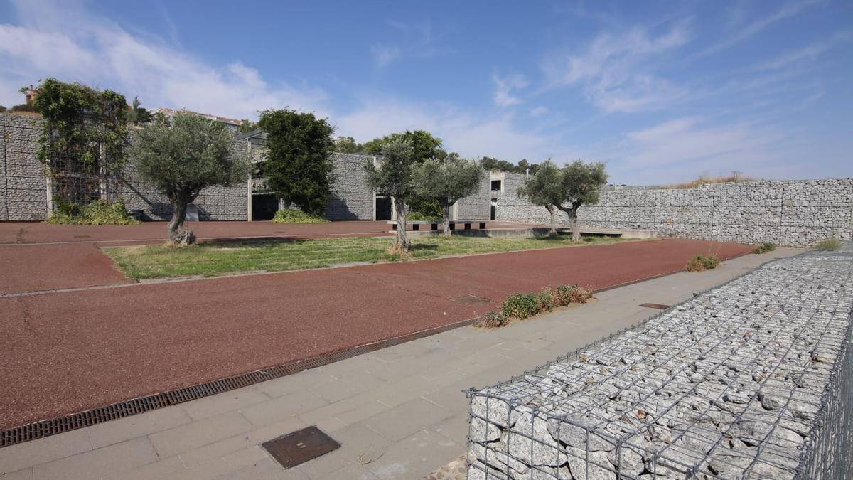 Área donde se ubicará el &#039;Bosque de la memoria&#039;, en el camposanto cacereño.