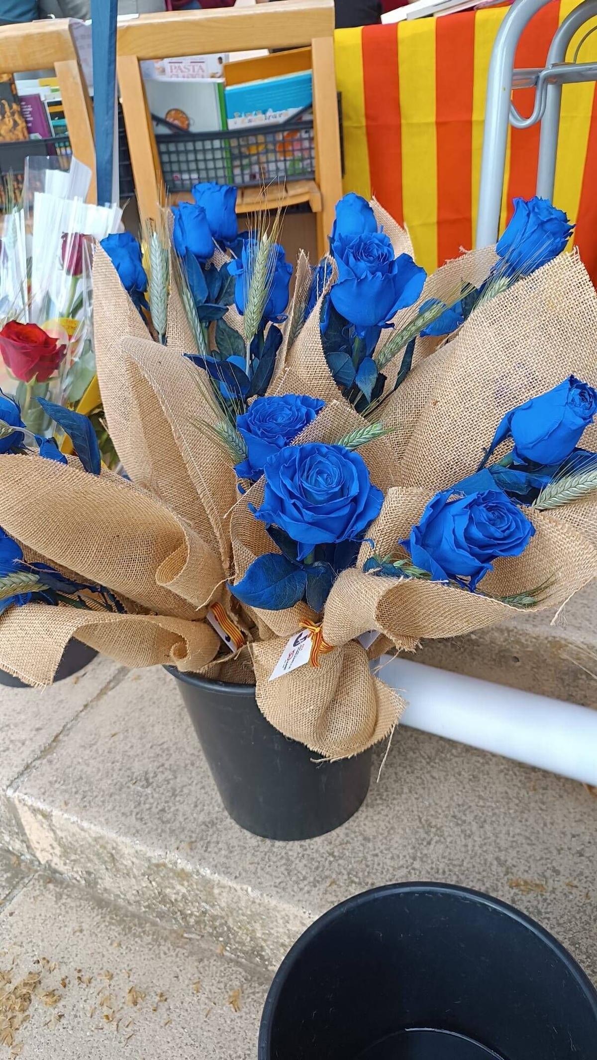 Imatges de la diada de Sant Jordi a Sant Joan de Vilatorrada