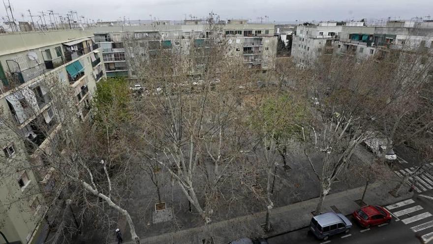 Una imagen de la plaza Fra Joan Alcina de la barriada de Son Gotleu.