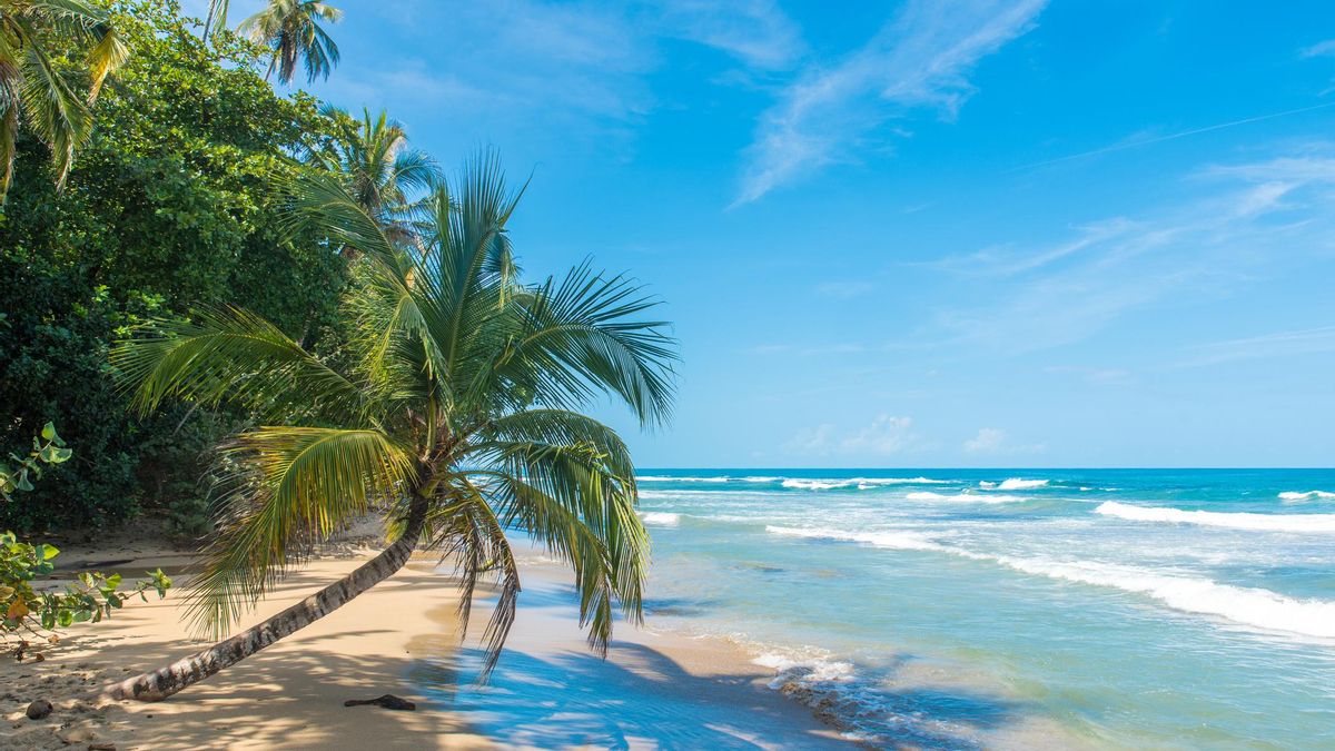 La provincia de Limón, en Costa Rica, será tu media naranja porque concentra todo lo mejor del Caribe