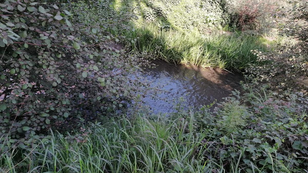 Río Pinzales.