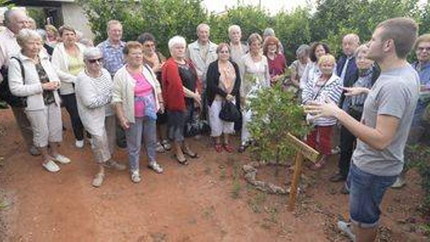 Vila-real supera en un mes las visitas de todo un año a la ruta de la naranja