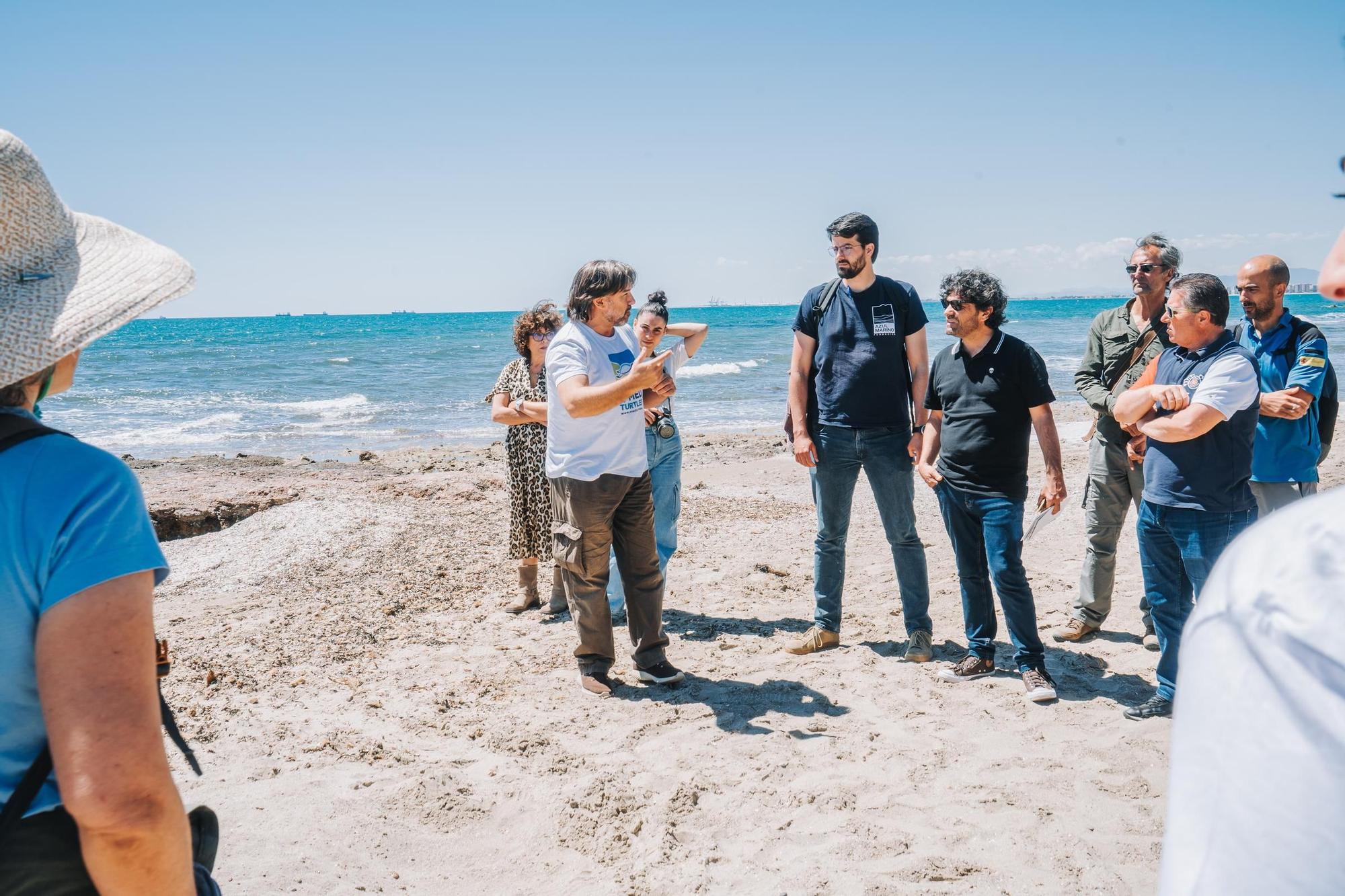 La Fundación Azul Marino reúne expertos y ayuntamientos de Castellón por la protección de las tortugas marinas