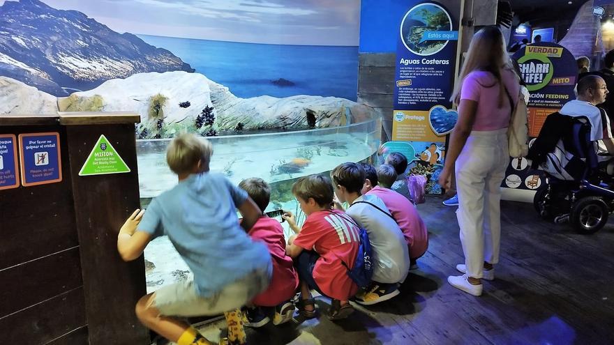 Familias de refugiados de la guerra de Ucrania visitan el Sea Life Benalmádena