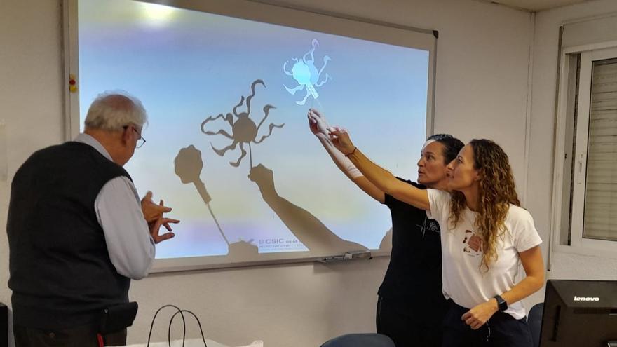 Ciencia en las aulas de Málaga: llega el II Encuentro Científico STEAM del CSIC y el CEP