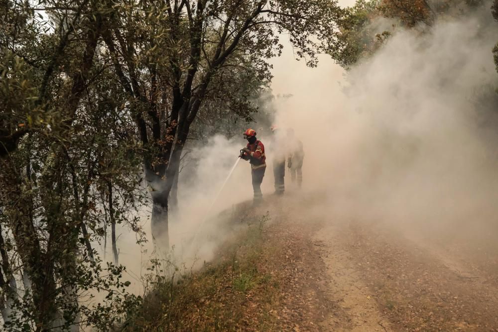 Incendio de grandes dimensiones en el centro de Portugal.