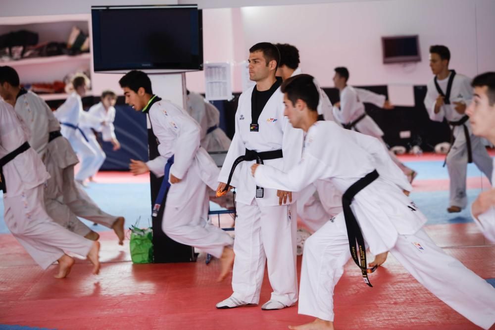 Taekwondo, club Élite