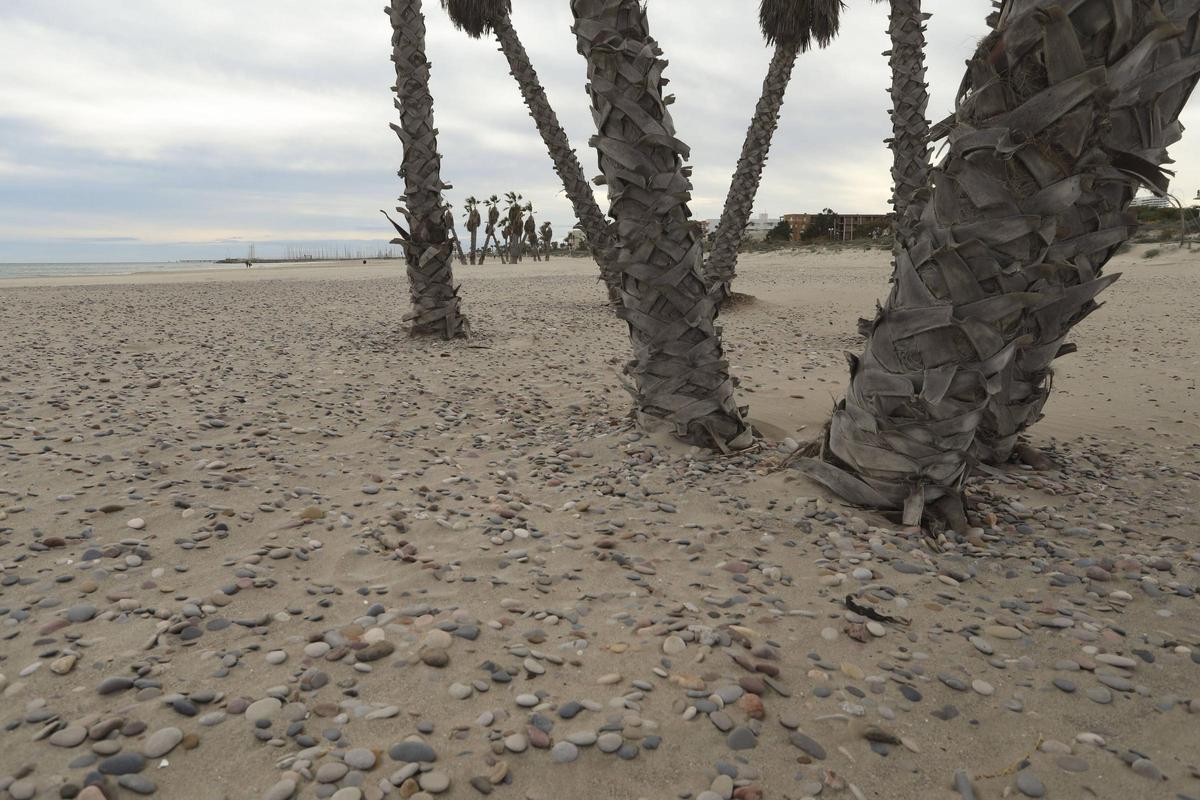 Estado en el que se encuentra la playa Racó de Mar.