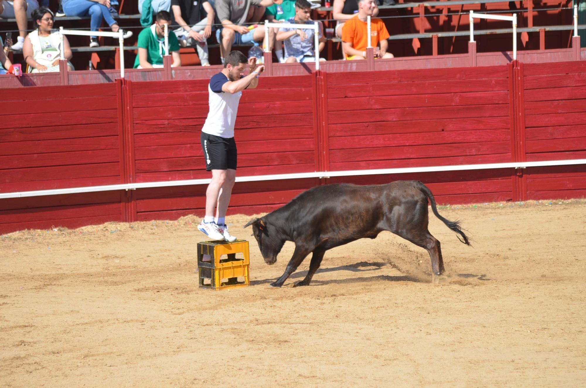 Fiestas del Toro en Benavente: Las mejores imágenes del "Juego de la NTE"