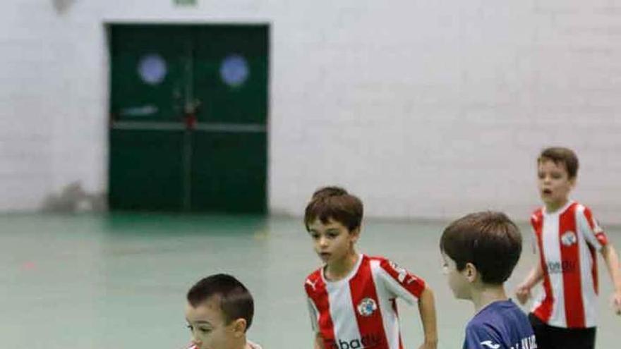 Una jugada del San Lázaro-Zamora de prebenjamines.