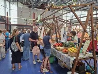 En imágenes: La Feria Eco-21, un éxito con una treintena de expositores en Vegadeo