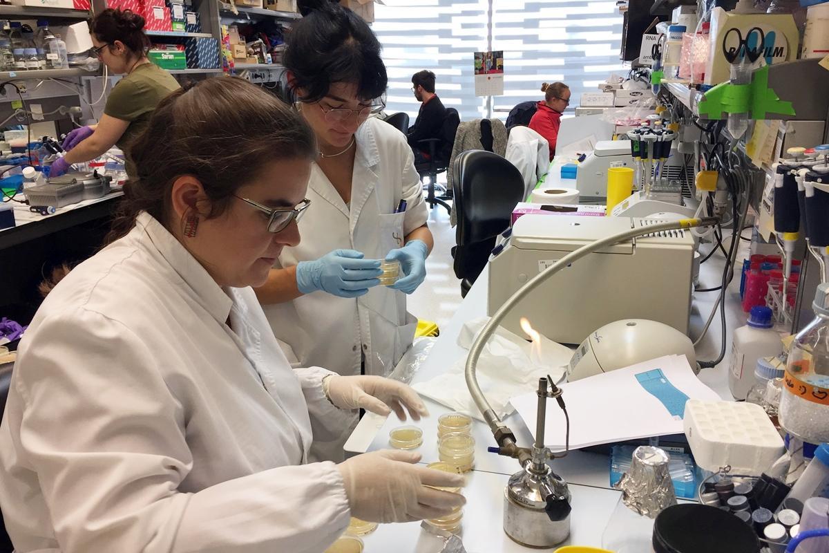 Proceso de muestras en CRG