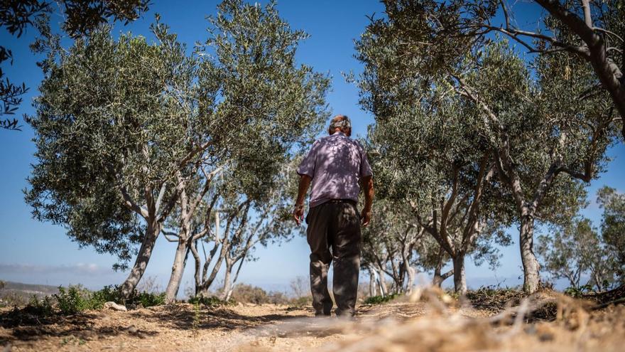 Manuel Marrero. agricultor afectado por la sequía