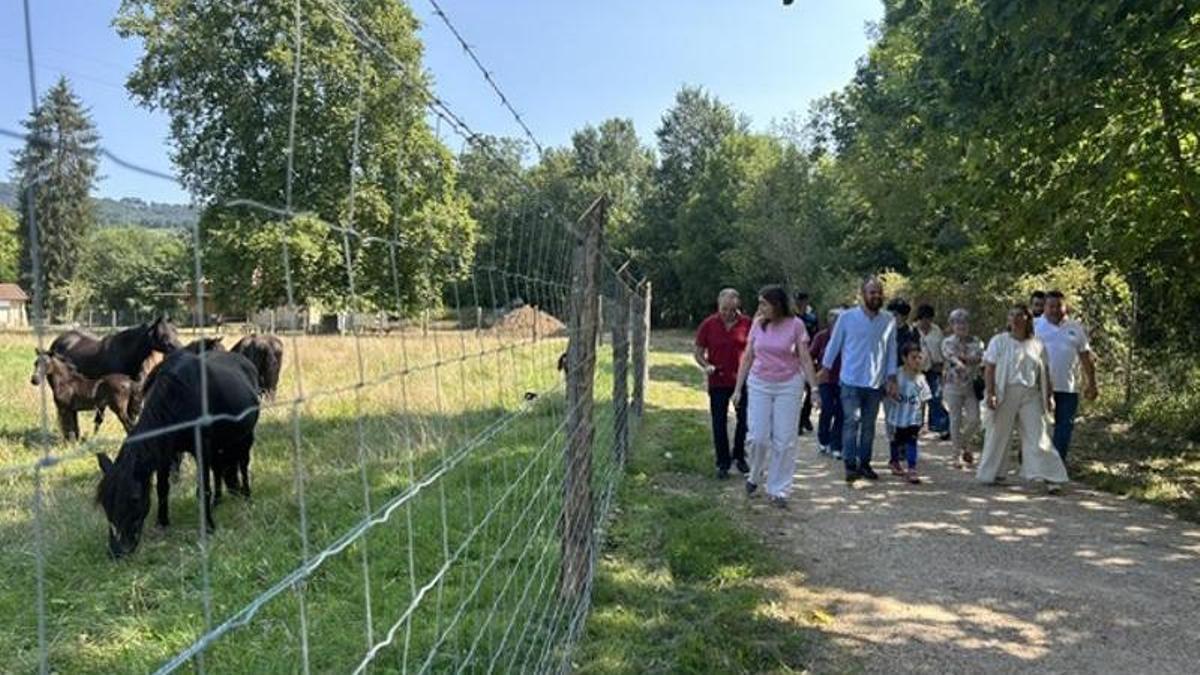 La visita al centro de interpretación del caballo asturcón.