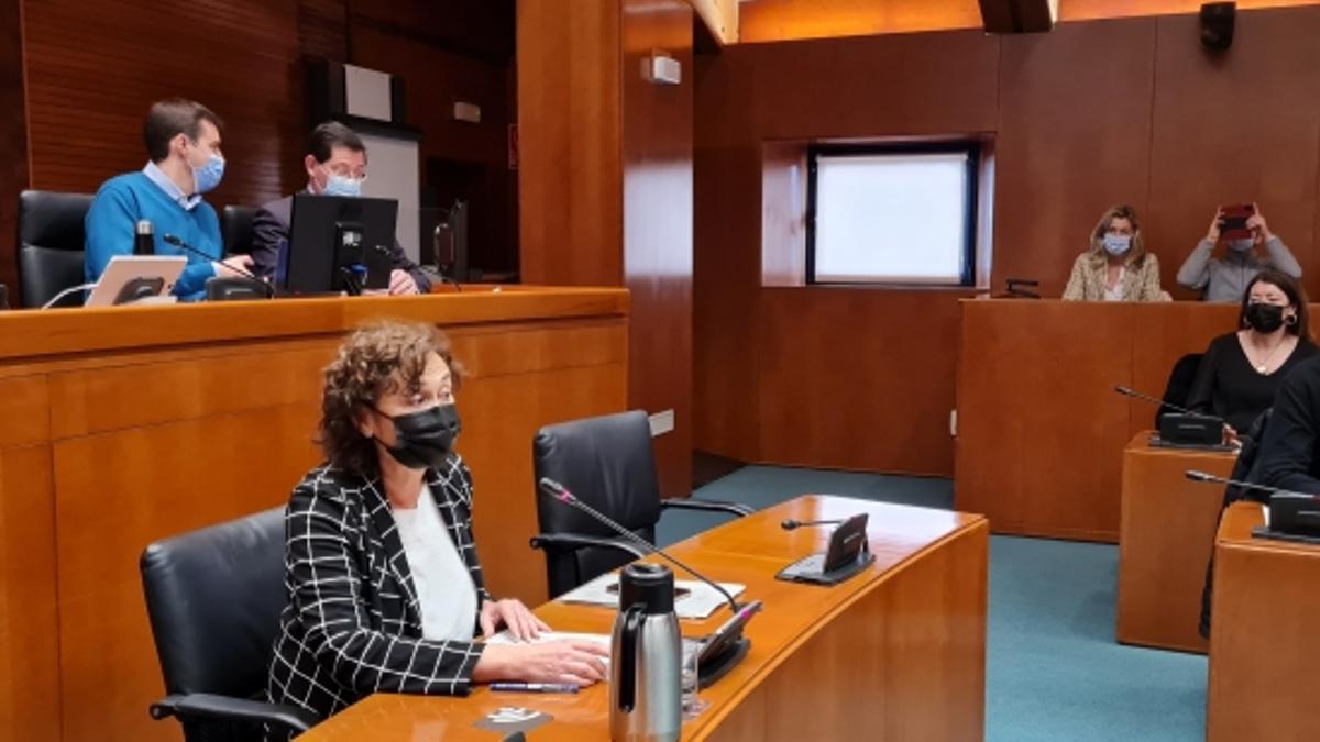 Comparecencia de Olga Alastruey en las Cortes de Aragón.
