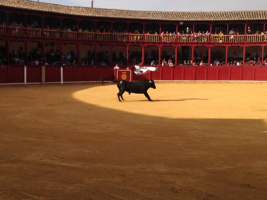 Fiestas Toro- concurso de jóvenes cortadores