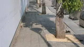 Las obras de remodelación en el barrio del Torrent dels Llops de Martorell comenzarán a finales de verano