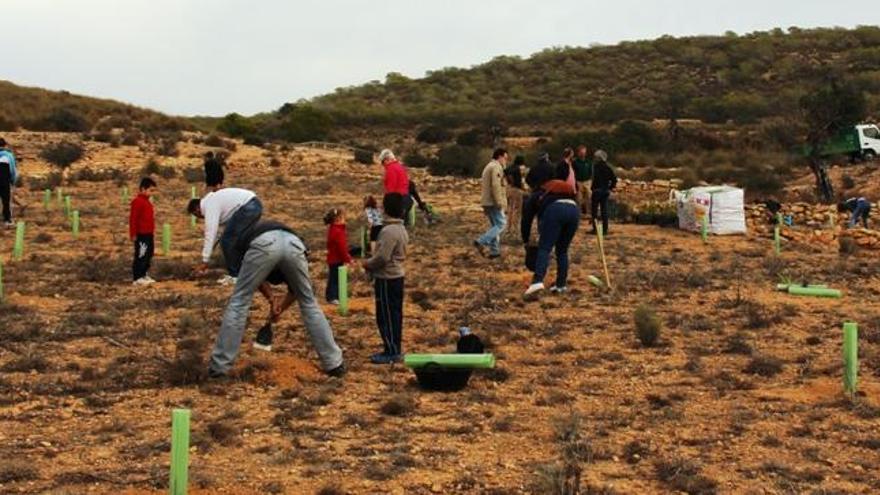 Nueva campaña de reforestación en el paraje natural del Clot de Galvany