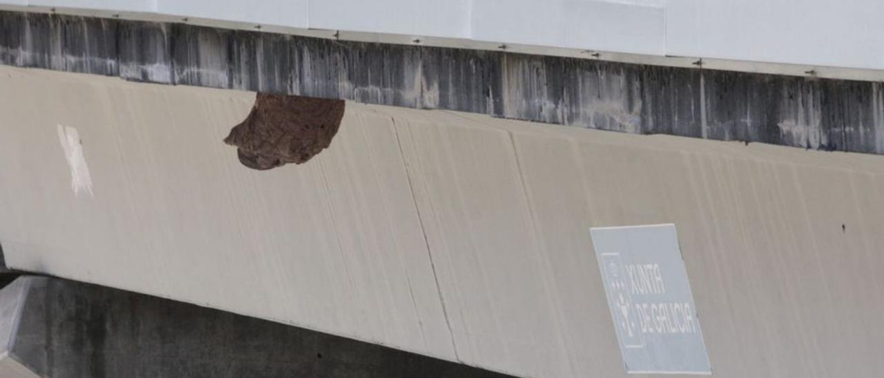 El paso sobre la Autovía do Morrazo en Meixoeiro con el nido colgando.