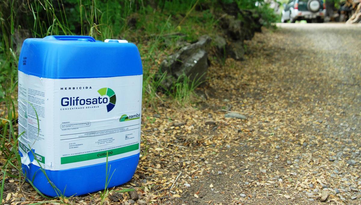 El glifosato es el principal ingrediente de Roundup
