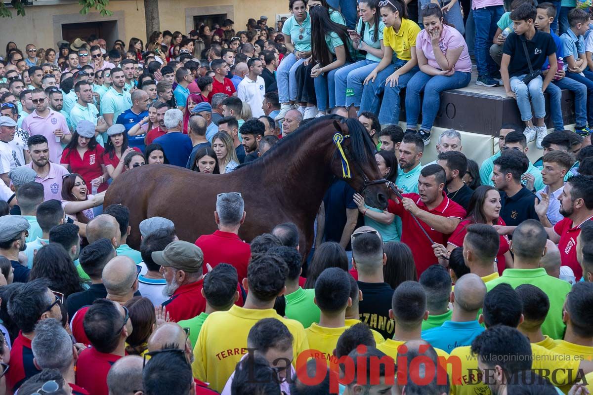 Entrega de premios del concurso morfológico de los Caballos del Vino de Caravaca