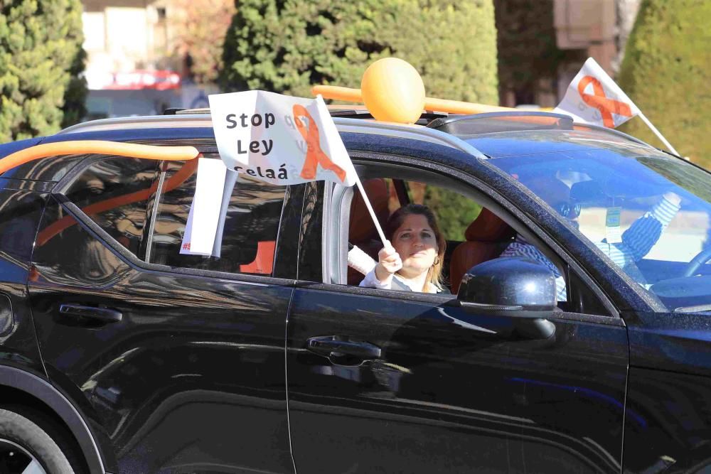 Protesta en Cartagena contra la Ley Celaá