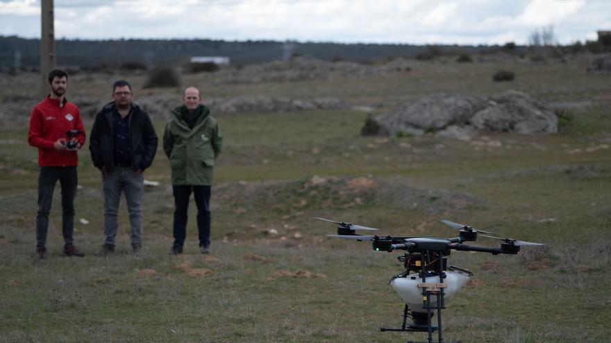 Así es el dron de Iberdrola capaz de plantar 100.000 árboles semillas de árbol en un día